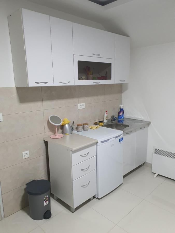 Apartman Tolosi 2 波德戈里察 外观 照片